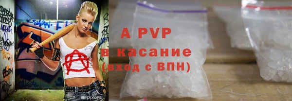 ПСИЛОЦИБИНОВЫЕ ГРИБЫ Богданович