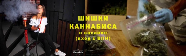 амф Бронницы