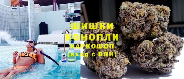 гидра Магас