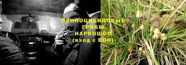 ALPHA PVP Магадан