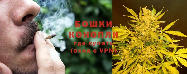гидра Магас