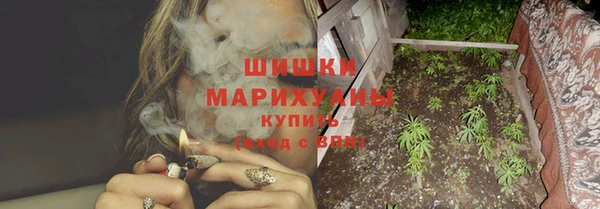 гидра Магас